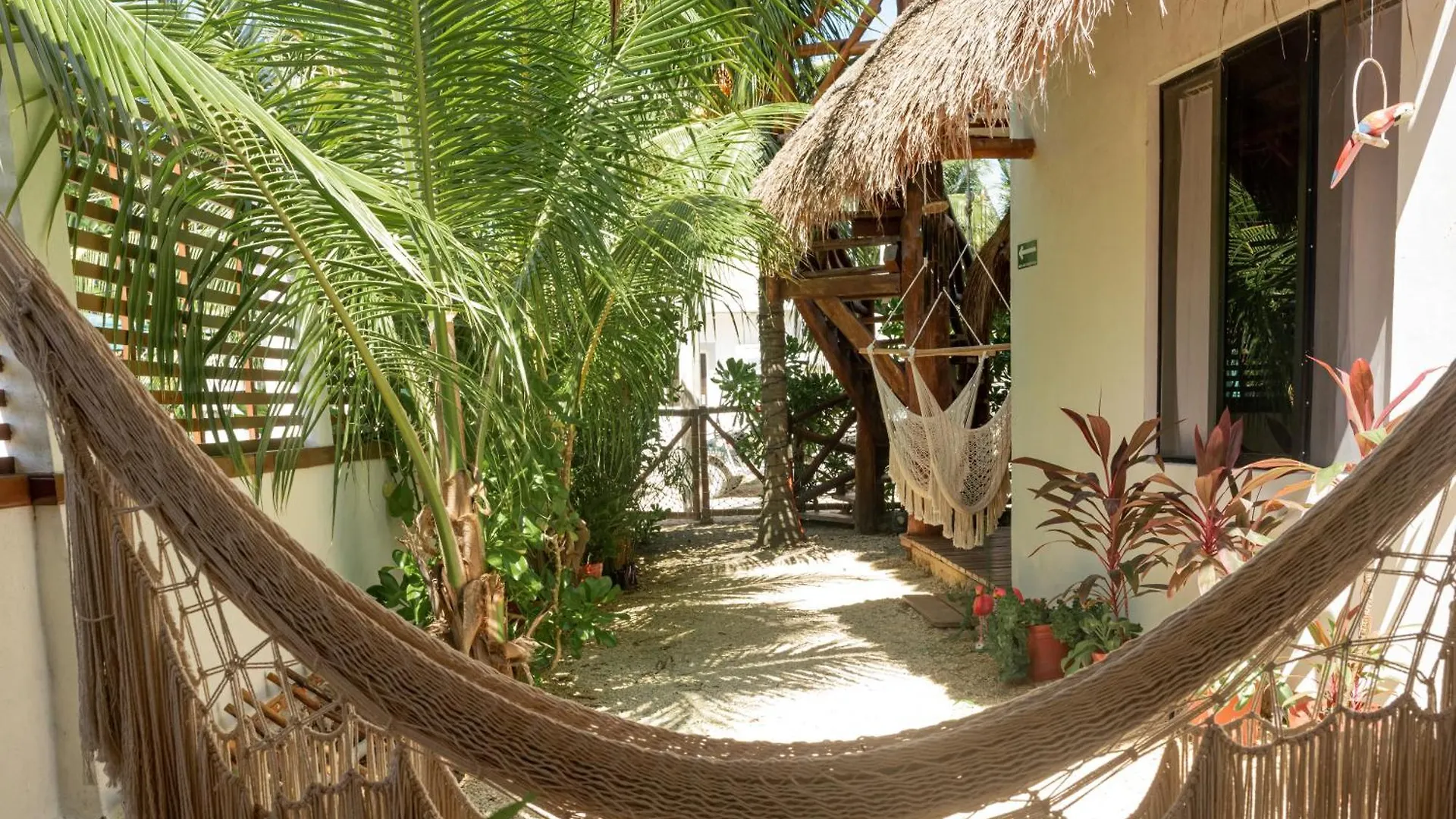 Omkar Mi Estudio En Holbox Apartment Mexico