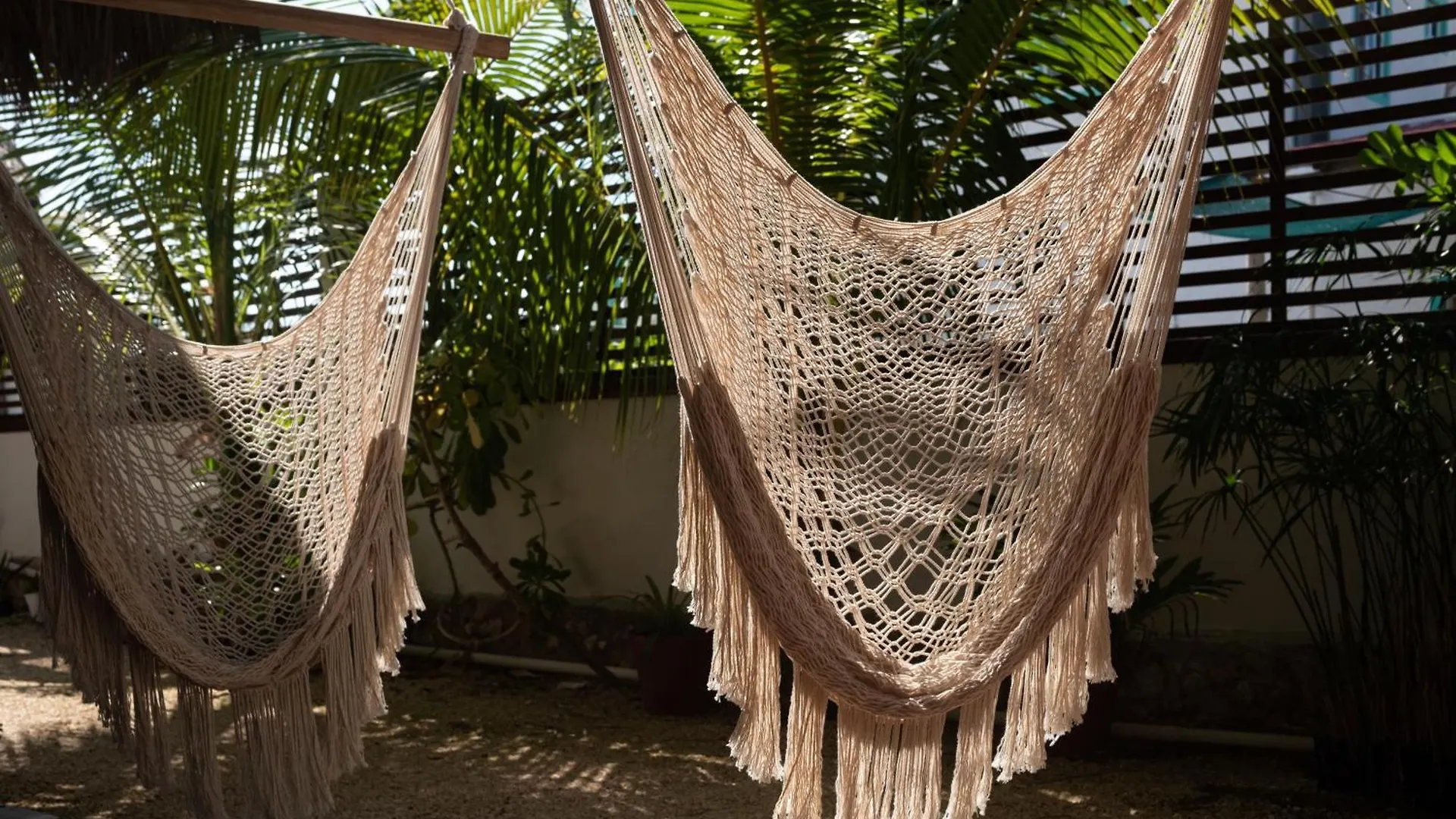 Omkar Mi Estudio En Holbox Apartment Mexico
